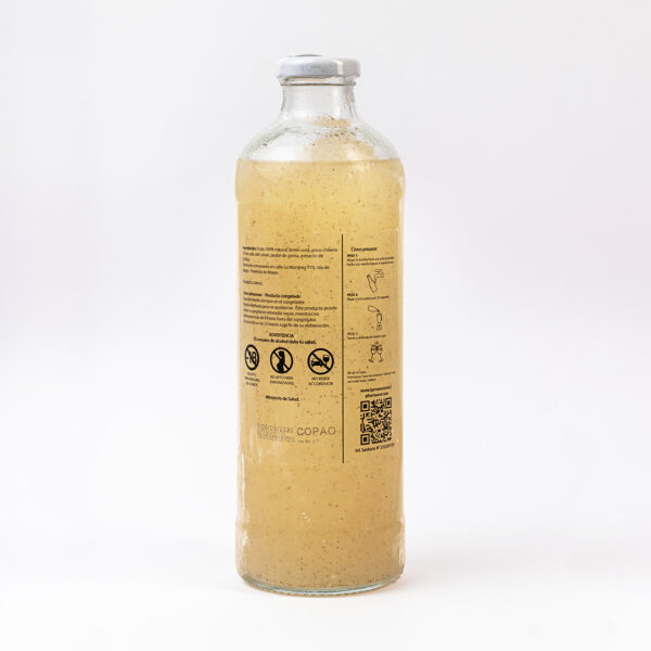 Copao Sour Botella 1L