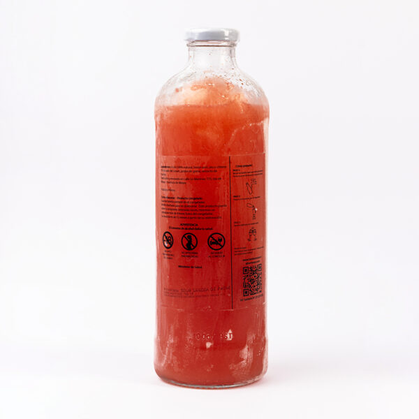 Sandía Sour Botella 1L